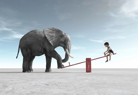 Elephant and child on seesaw