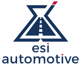 Automotive  Element Solutions Inc (ESI)