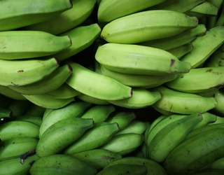 Why OEMs don't want green bananas